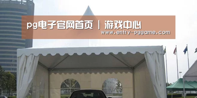 案例标题八