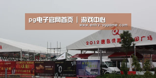 案例标题十