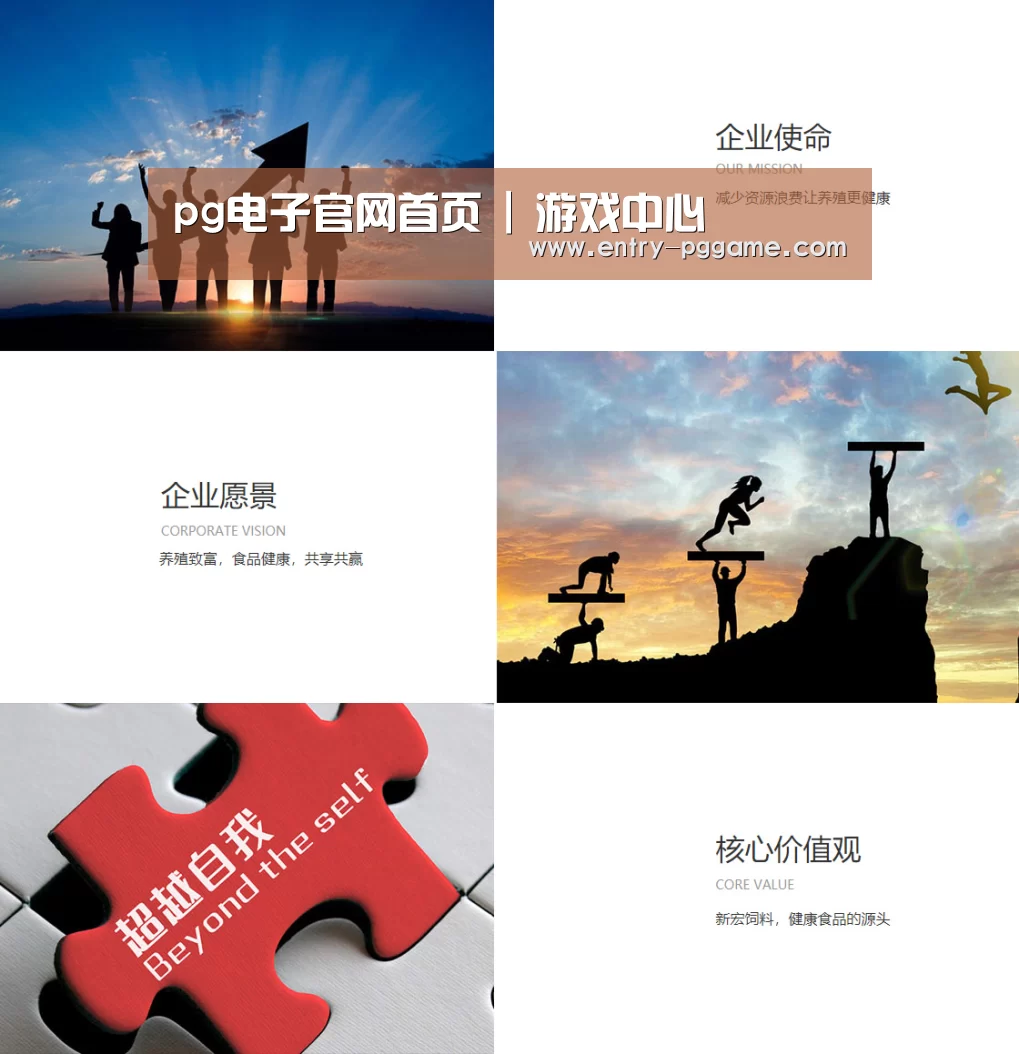 企业文化(图1)