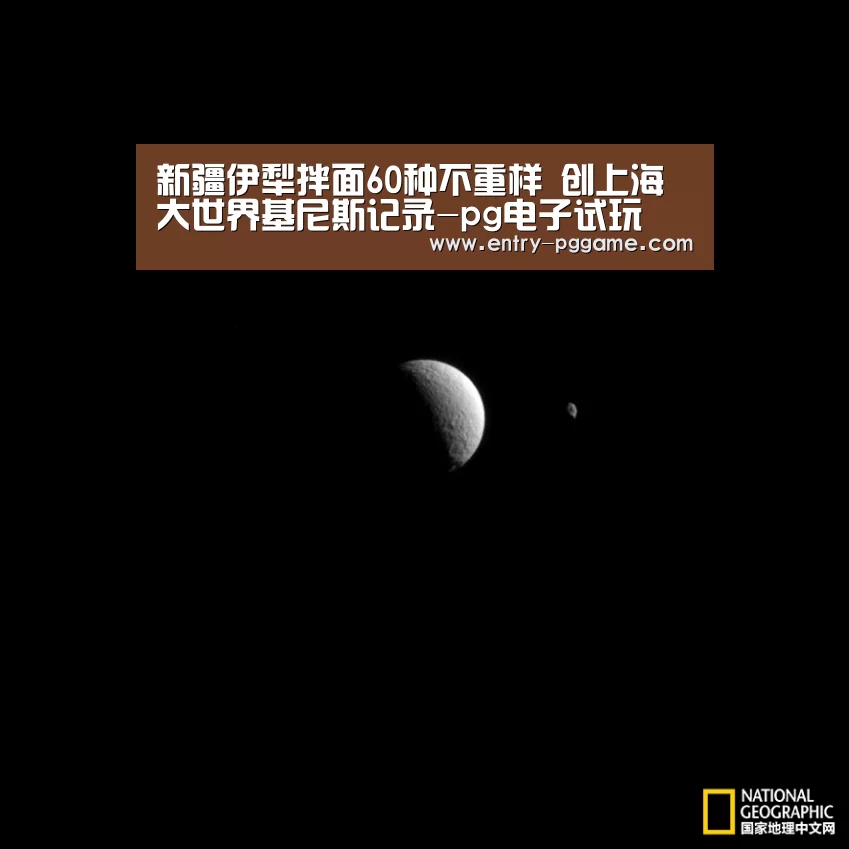 新疆伊犁拌面60种不重样 创上海大世界基尼斯记录-pg电子试玩