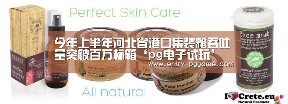 今年上半年河北省港口集装箱吞吐量突破百万标箱‘pg电子试玩’