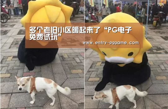 多个老旧小区暖起来了“PG电子免费试玩”(图4) PG电子免费试玩