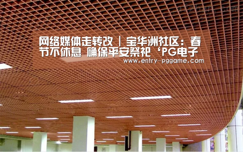 网络媒体走转改 | 宝华洲社区：春节不休息 确保平安祭祀‘PG电子试玩’