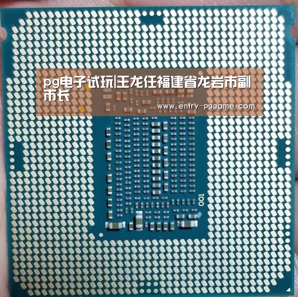 pg电子试玩|王龙任福建省龙岩市副市长(图3) pg电子试玩