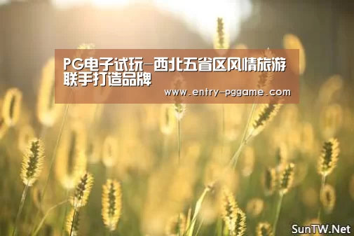 PG电子试玩-西北五省区风情旅游联手打造品牌